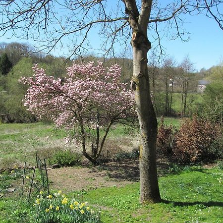 Les Chevrefeuilles Villa Walcourt Szoba fotó