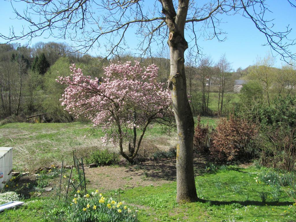 Les Chevrefeuilles Villa Walcourt Szoba fotó